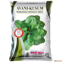 Buy Quality Spinach Seeds India Trusted by Farmers