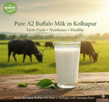 Experience the Purity of A2 Buffalo Milk with Vatsalya Farm