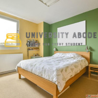 Why Choose a PG Over Renting a Flat Benefits for Students Pr...