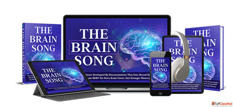 The Brain Song Program
