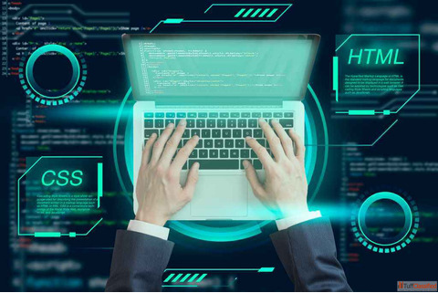 Website Development Services in Indore