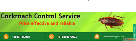 The Complete Guide to Notebooks Journals