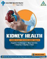 Kidney Stone Surgery in Indore Indore Multi Speciality Hospi...