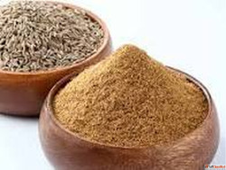 Pure Cumin Powder Suppliers in Karnataka