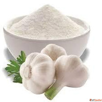 Pure Garlic Powder Suppliers in Ahmedabad