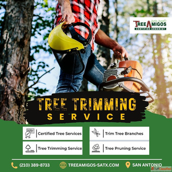 Tree Trimming Service in San Antonio