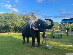 Best Elephant Sanctuary Rides Jaipur. Ethical Fun