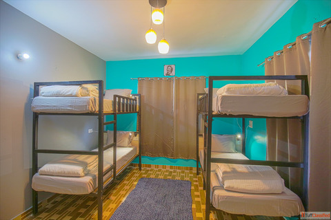 Comfortable Hostel Dormitory Room in Bir - The Bunksters