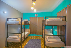 Comfortable Hostel Dormitory Room in Bir - The Bunksters