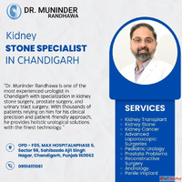 Kidney Stone Specialist in Chandigarh