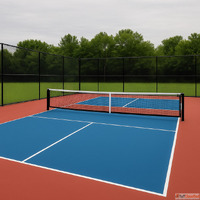 Build World-Class Pickleball Courts - Get 10 OFF Today