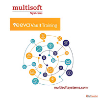 Why Professionals Choose Veeva Vault Training for Career Gro...