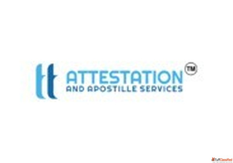 Best Apostille Services in India TT Attestation