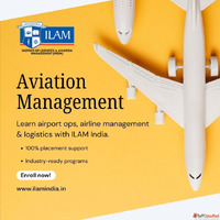 Aviation Management Training