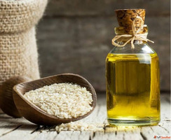 Sesame Oil bulk suppliers