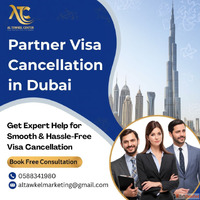 Avoid Fines The Right Way to Cancel Your Partner Visa in Dub...