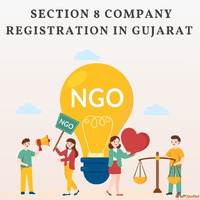 Looking to establish a non-profit organization in Gujarat