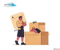 Packers and Movers in Janbazar