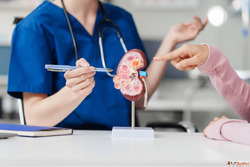 Top 10 Nephrologists in Gurgaon Best Kidney Specialists - Do...
