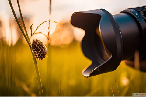 What are the seven key visual elements in photography