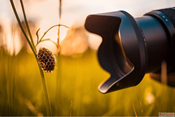 What are the seven key visual elements in photography