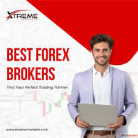Best Forex Brokers - Find Your Perfect Trading Partner