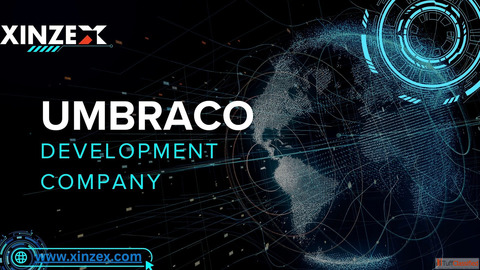 Custom Umbraco Development Services to Build Scalable Websites