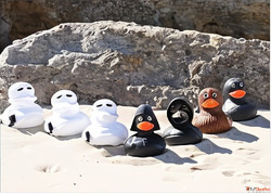 Unique Rubber Duck Gifts for All Ages