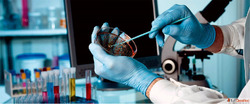 Top 5 Diagnostic Centre in Bangalore with Fast Results
