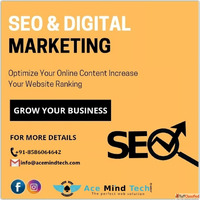Seo Agency In South Delhi