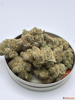 Black Cherry Gelato THCA Flower