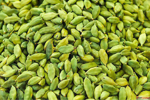Best Cardamom Suppliers in Rajkot