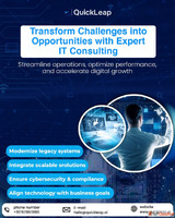 Top IT Recruitment Company in Delhi QuickLeap Innovation