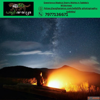 Experience Magical Starry Nights in Tadoba's Wilderness