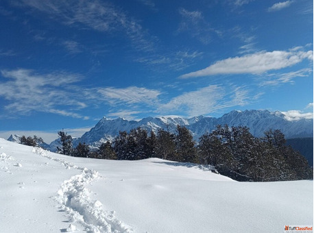 Brahmatal Trek - The Perfect Winter Adventure in Uttarakhand
