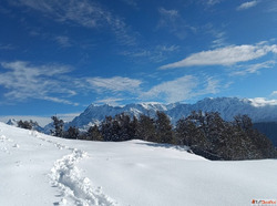 Brahmatal Trek - The Perfect Winter Adventure in Uttarakhand