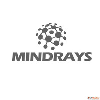 Top SEO Branding Company in Delhi - MindRays Branding Expert...