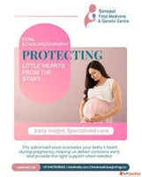 Navigating Fetal Testing Options During Pregnancy Fetal Indi...
