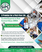 Best Cockroach Control Services In Chennai