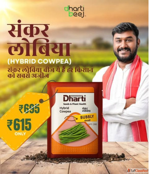 Dharti Beej - Your Trusted Online Seed Store in India for Bulk Seeds and Quality Farming Solutions