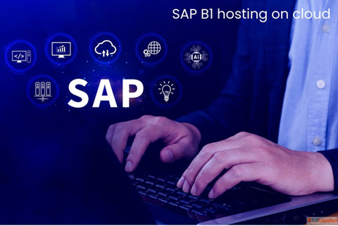 SAP B1 Hosting on Cloud - Secure Managed ERP