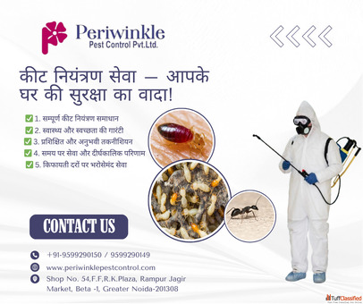 Professional Termite Control Service in Greater Noida