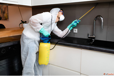 Expert Termite Control Services in Delhi - SKUAS Pest Control