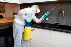Expert Termite Control Services in Delhi - SKUAS Pest Contro...