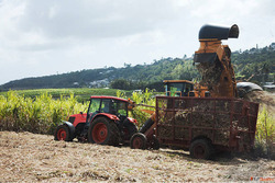 Sugar Funding Strategic Finance for India's Sugar and E...