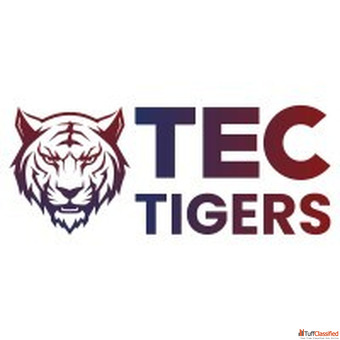 Secure Your IT Infrastructure with Tectigers VAPT Services