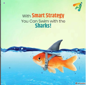Elevate Your Brand with the Best Digital Marketing Agency in Kolhapur - Barcadly Services