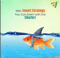 Elevate Your Brand with the Best Digital Marketing Agency in...