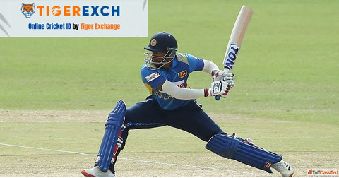 Beginner's Guide to Tiger Exchange ID TigerExch and the Tiger Exchange App"