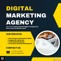 Empowering Growth with EcomJets Canada's Digital Market...